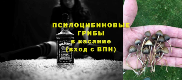 индика Алексин