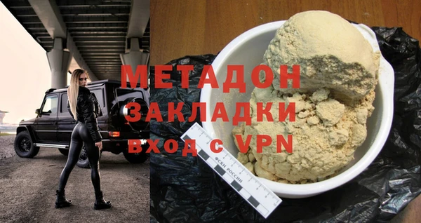 индика Алексин